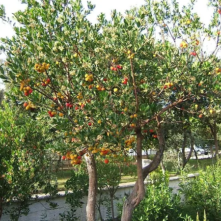 Apartmán Vila Amantina